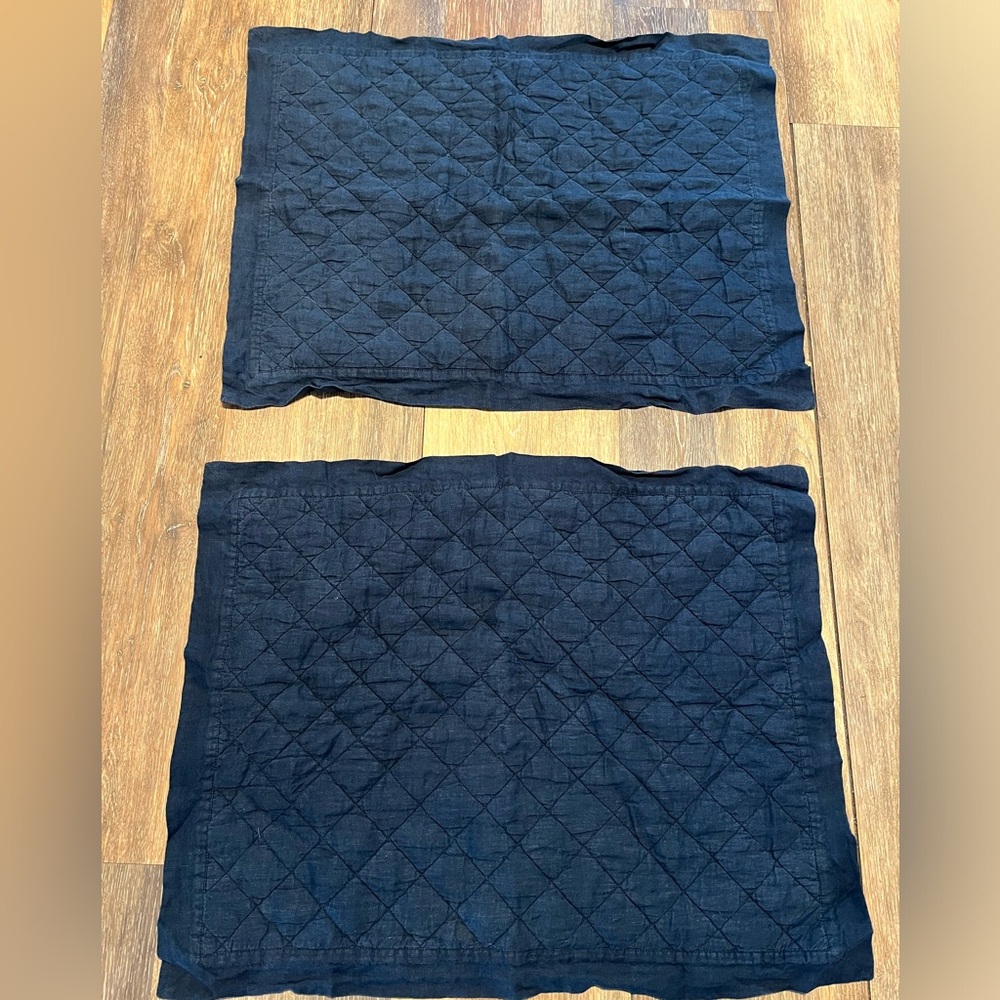 Pottery Barn Standard Shams ( 2 )